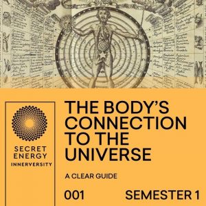 Shop • Secret Energy Store