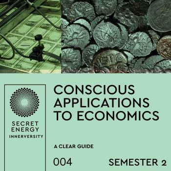Conscious Application to Economics S2
