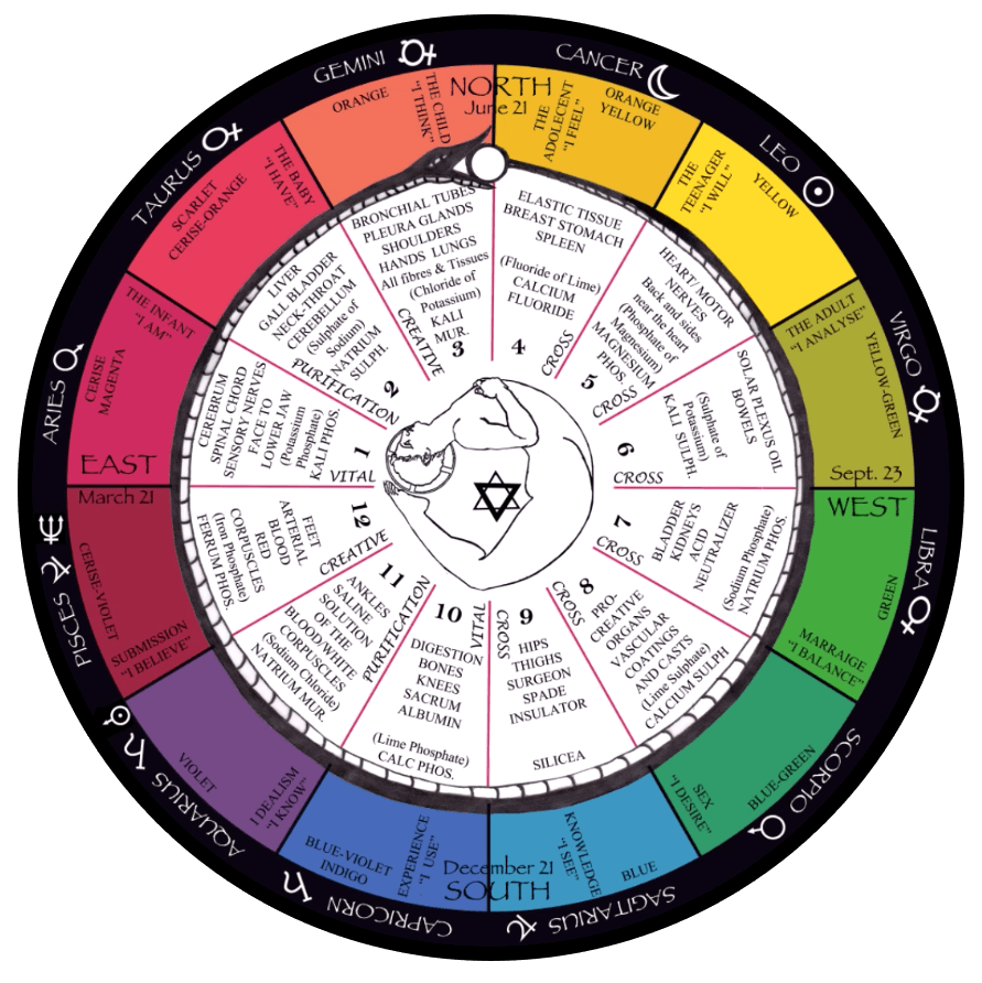 Cell Salts • Secret Energy Store